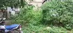 Land for rent