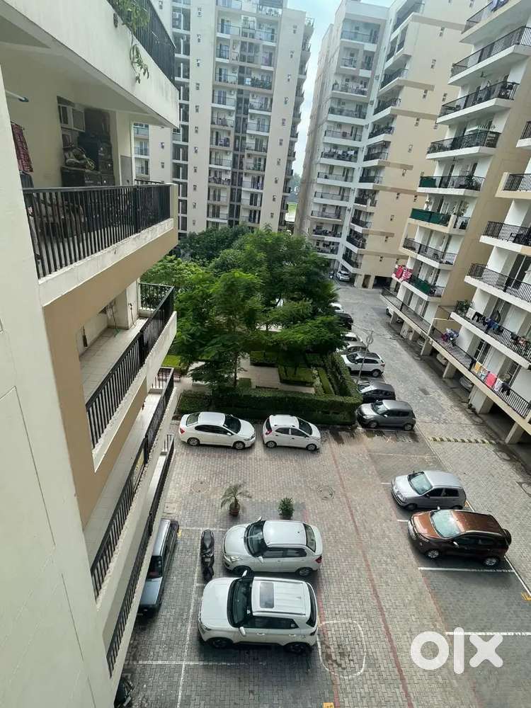 3 BHK 1650 Sqft Semi Furnished Flat Rent Highland Park Zirakpur