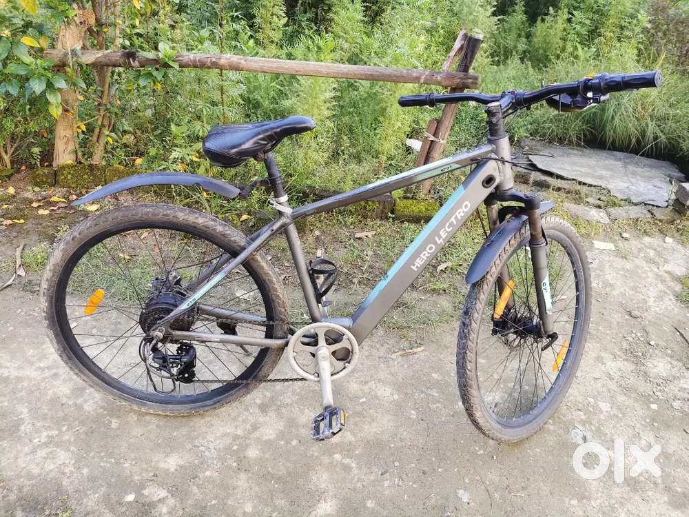Only Gear cycle
