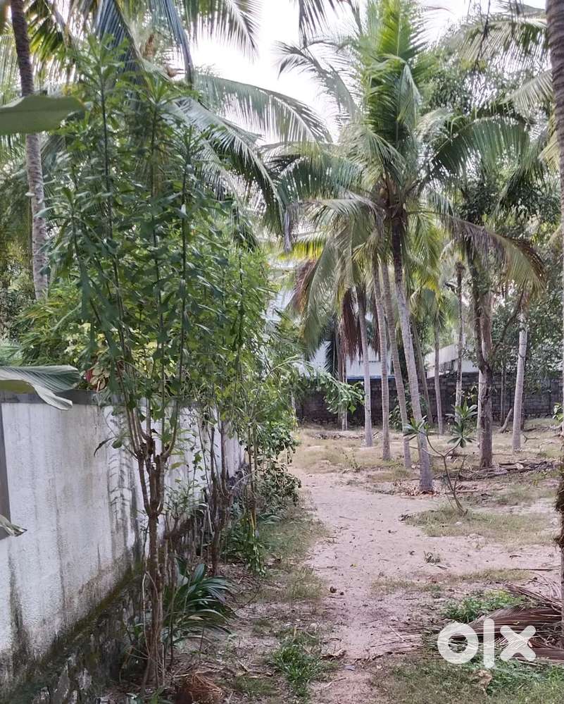 LAND FOR SALE IN MENAMKULAM, Kazhakkuttom