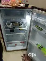 165 litter fridge