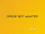 WANTED OFFICE BOY FOR COLLECTION AND CLEANING