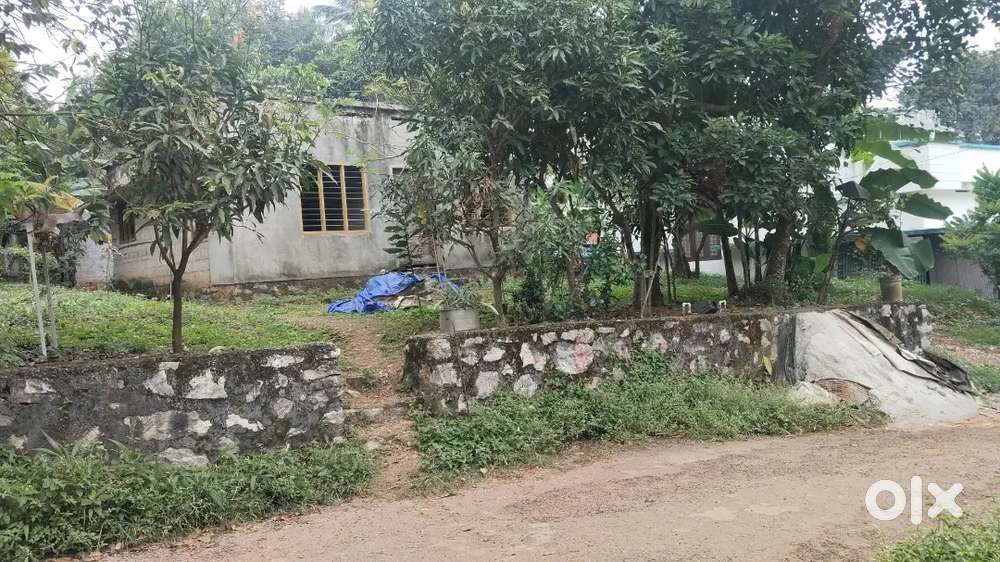 10 Cent Plot For Sale