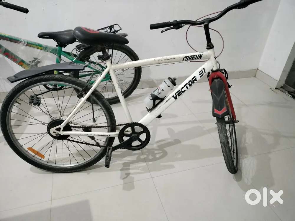 Vector 91 Adult cycle in running condition