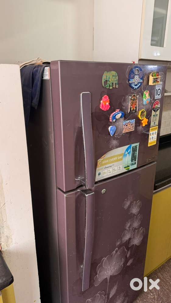 LG 4 Star Smart Inverter 240 L fridge