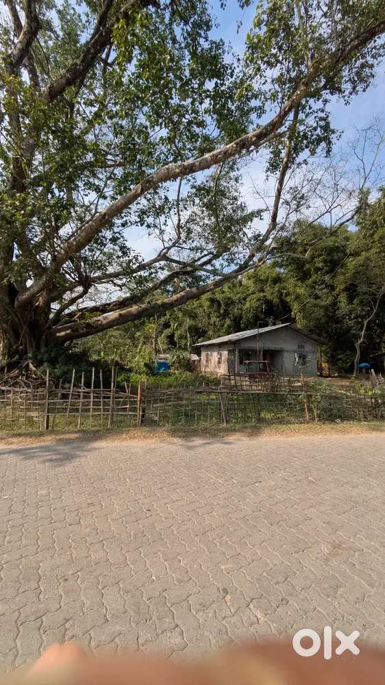 Tengakhat chungi gav near by girls school