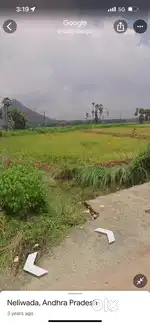Plain land 1800Sqft layout plot