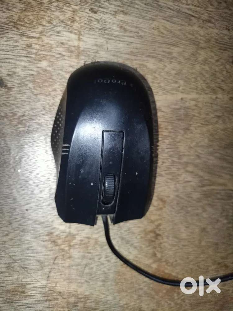 Mouse  Computer Mounse