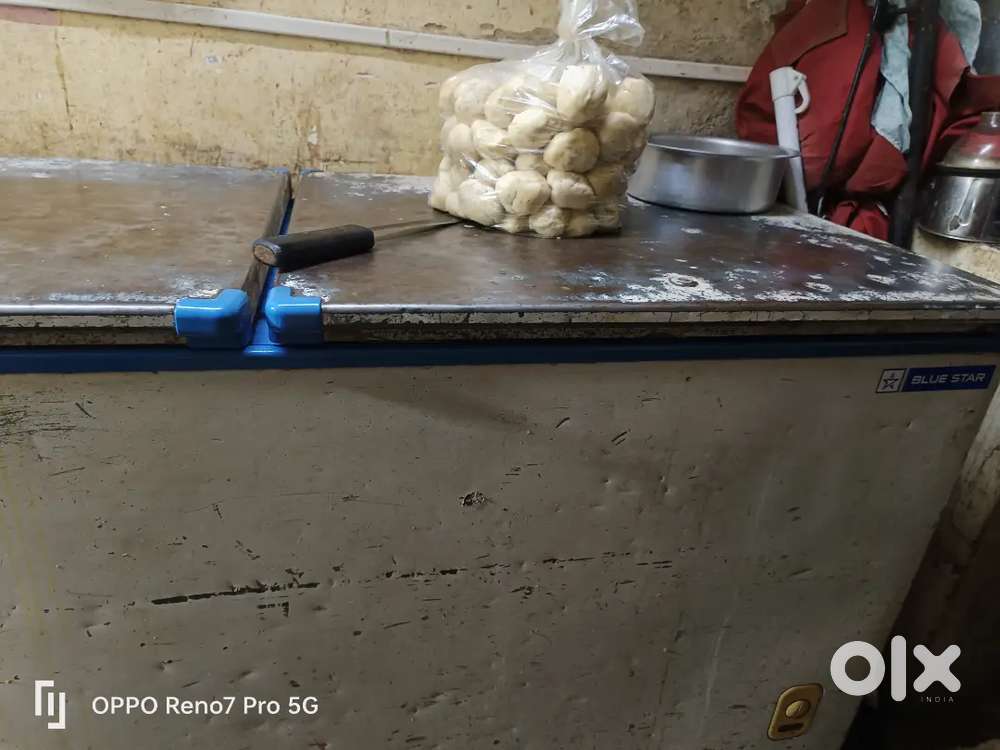 Blue star deep freezer