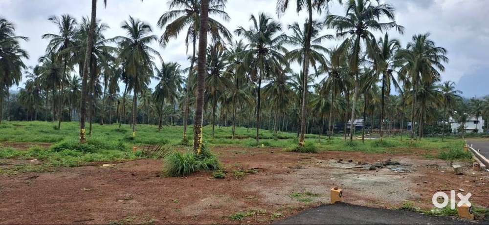 9 Cent Residential Plot for Sale in Viyyakurissi, Palakkad