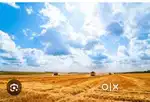 Land for sale in Bailoor karkala for 1.85 lakhs per cents