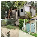 5.5 katha land and house beside gobardanga gaighata main road