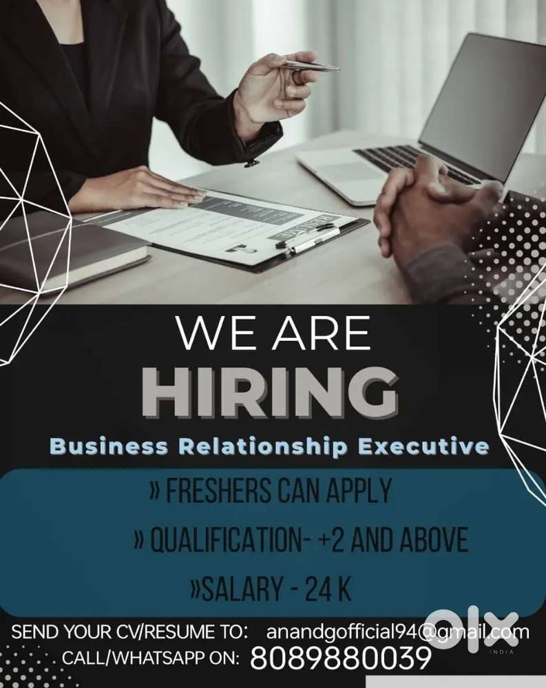 Business Relationship Executive