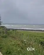 Land for Sale in Konkan  Farmhouse Plot  Road Touch