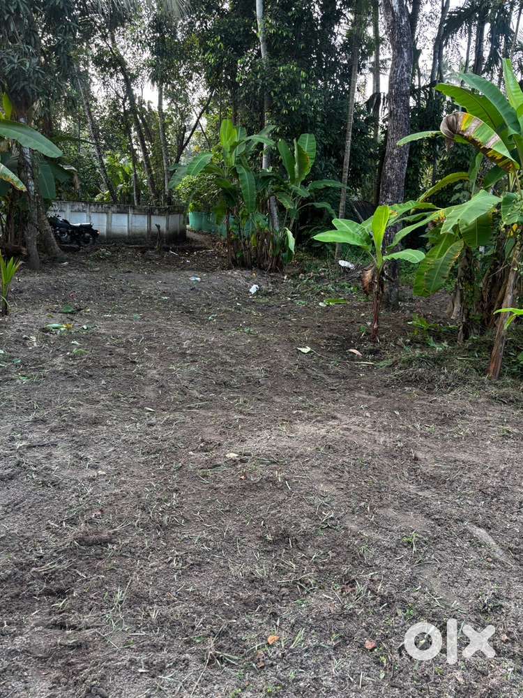 5 cent plot for sale cheravally