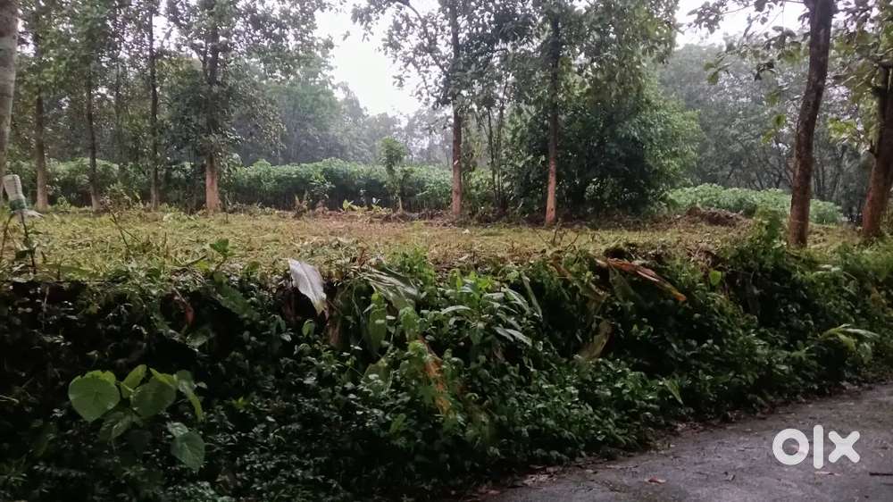10 cent plot for sale at കോട്ടയം കുറവിലങ്ങാട് അരുവിക്കൽ