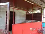 Outhouse for rent