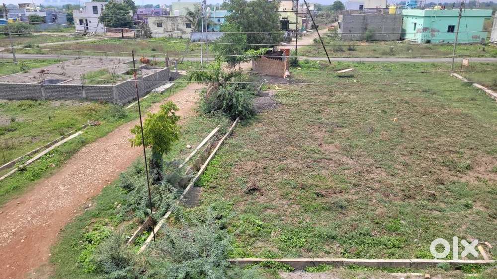 NATP plot 1900 sq. feet for sale in Warora, Chandrapur