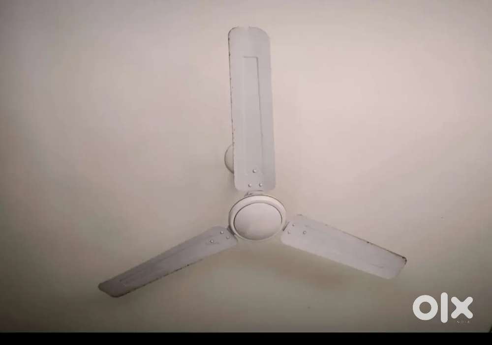 Ceiling fan