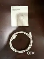 Apple Original earphones (brand new)