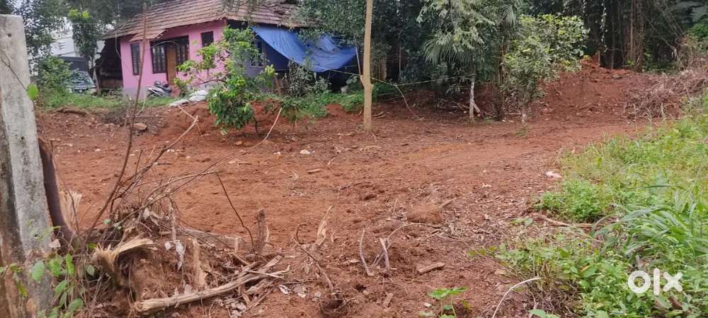 7 cent house plot for sale, 250000 per cent, Negotiable