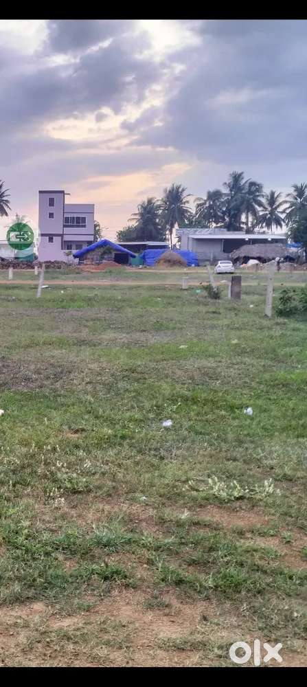 Near sub Registrar office pentapadu