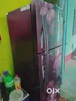 Duable door LG fridge