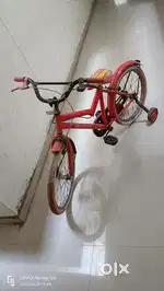 7 years and above cycle