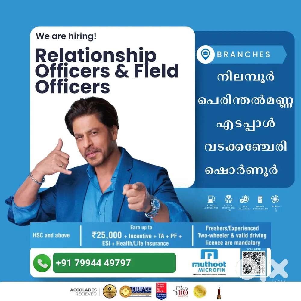 Collection Executive