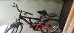 Hercules Cycle