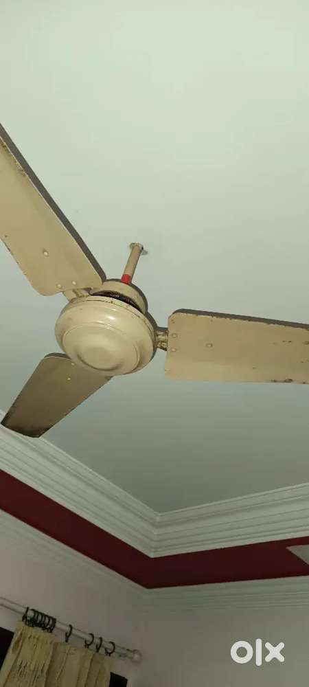 Two Ceiling fan