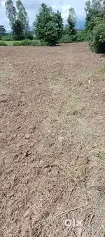 Land for use any purpose ex- farming, store,godaun any business perpes