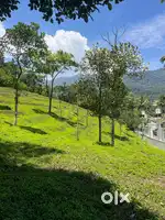 1.20 Acre Resort land@Vythiri