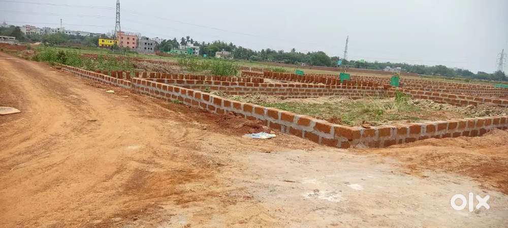 Plot near Aiims hospital Bhubaneswar Odisha