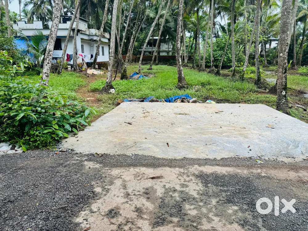 14 cent plot for sale