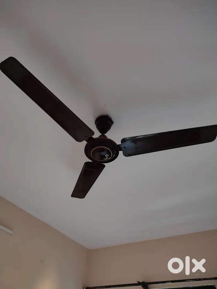 2 Bajaj Crest 1200 MM Brown 56 watt Ceiling Fan