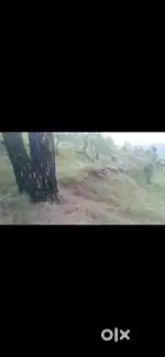 Agriculture land with wonderful valley view near Chamba