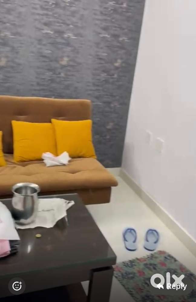 RAS/UPSC Female flatmate required