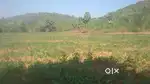 3.08 Acres Agriculture Land for Sale. NEAR POLAVARAM HUKUMPETA