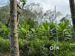 Pala - Near Kozhuvanal , 10 Acre Plot For Sale