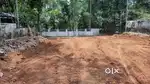 17.5 cent of non flooded land near kalady cheraneloor