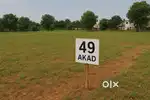 Ram pet se 8 km andar 49 akad kheti ki zameen