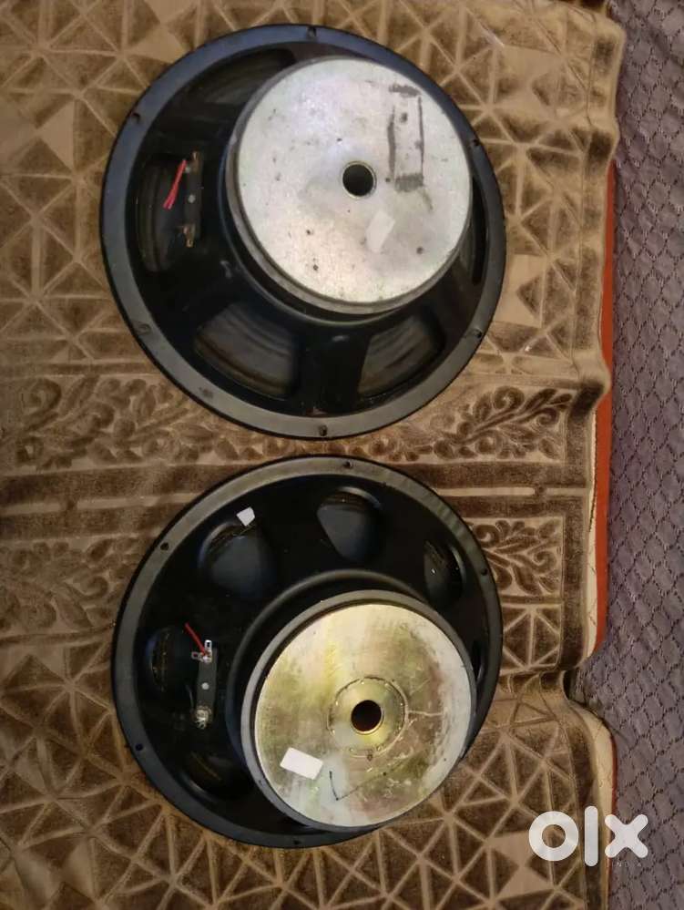 One Pair 12 inch speaker