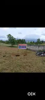 Land in Papanasam