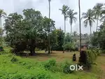 17 cent Plot for Sale in Kuthuparamba