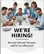 We Need Some staff for our office