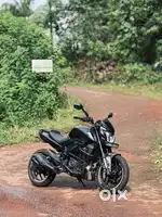DOMINAR 250