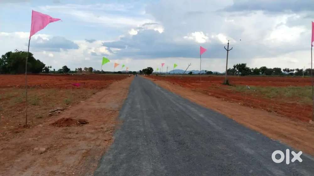 తక్కువ పెట్టుబడి (ఎర్రచందనం ) ఎక్కువ( భూమి )అధిక(రాబడి ) కేవలం 34Lakhs