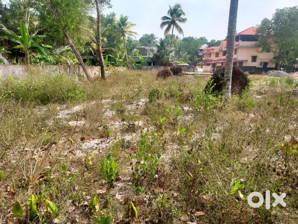 50 cents land ideal for villas for sales at maithara Cherthala