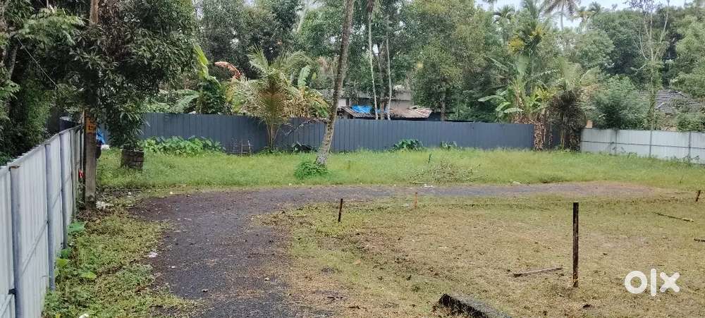 4cent ഒറ്റപ്പുന്ന നാഷണൽ ഹൈവേ 600 മീറ്റർ ദൂരം മാത്രം3 ലക്ഷം സെന്റിന്